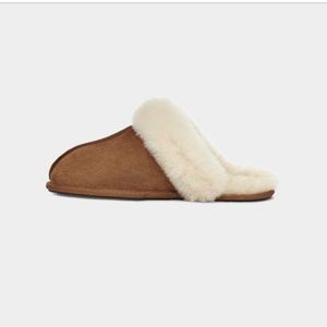 Ugg Scuffette II